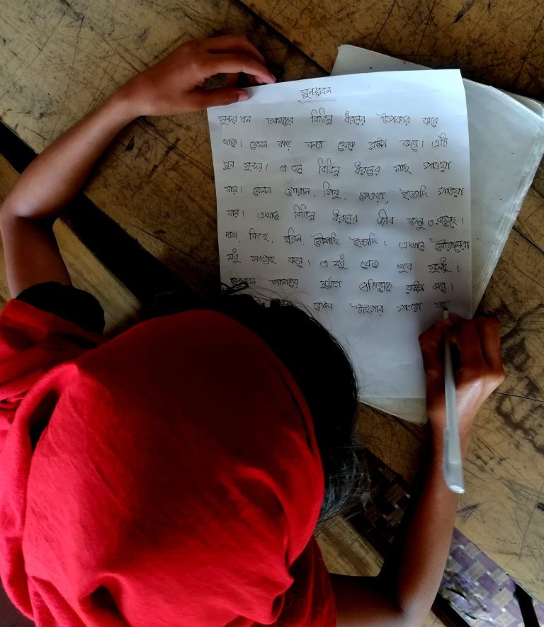 ঝড় ও সুন্দরবন Alwan Honey