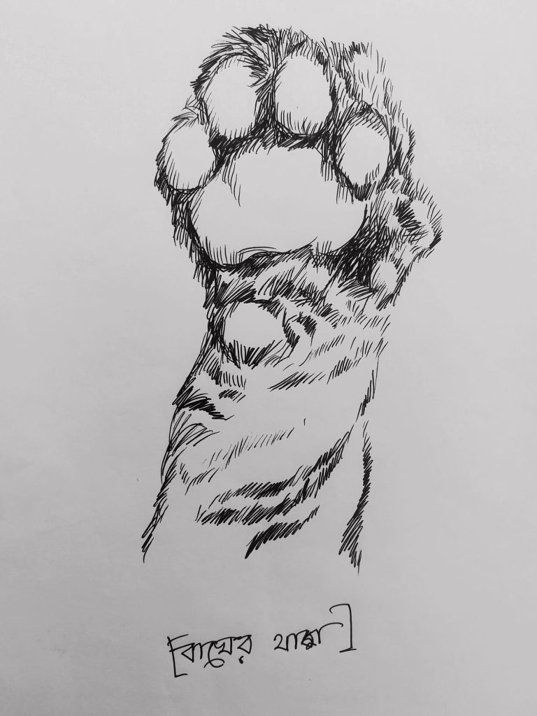 ছাপ দেখে বাঘ চেনে Alwan Honey